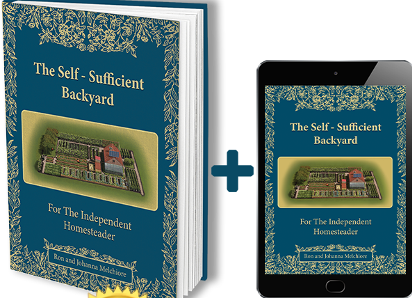 Self Sufficient Backyard